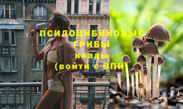марки nbome Алексин